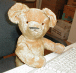 Teddy Bear at a computer